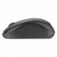 Logitech MK295, sada klávesnice s bezdrátovou optickou myší, AAA, CZ, multimediální, 2.4 [GHz], bezdrátová, šedá, SilentTouch
