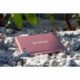 SSD Goodram externí USB 3.2 Gen. 2x2 Type-C, 1TB, HX200, SSDPR-HX200-1K0-RG, 1500 MB/s-R, 1400 MB/s-W
